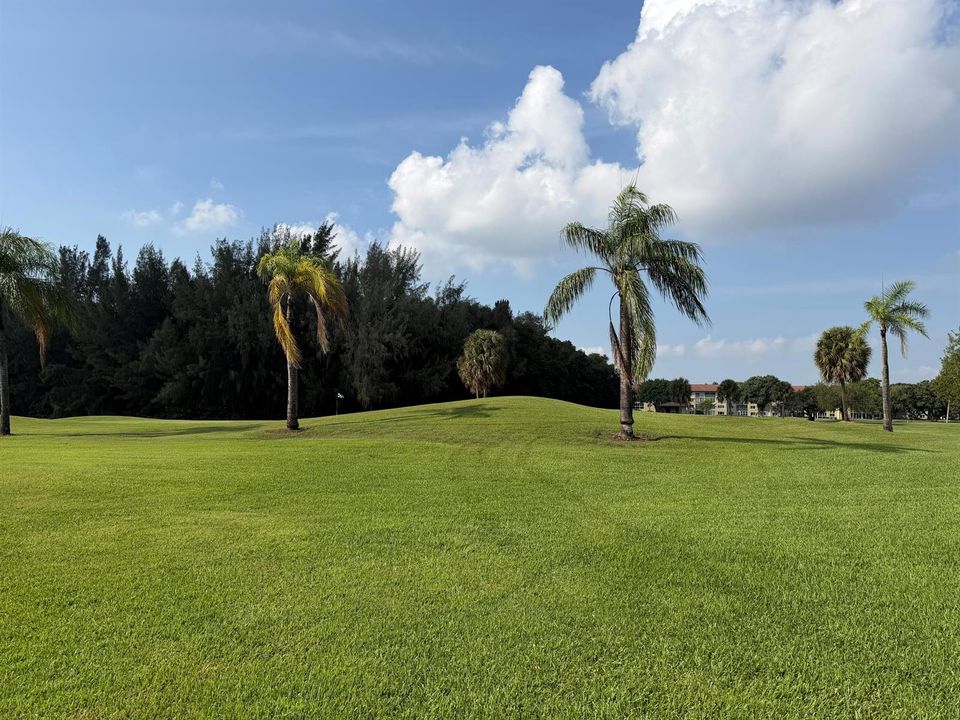 Golf course view