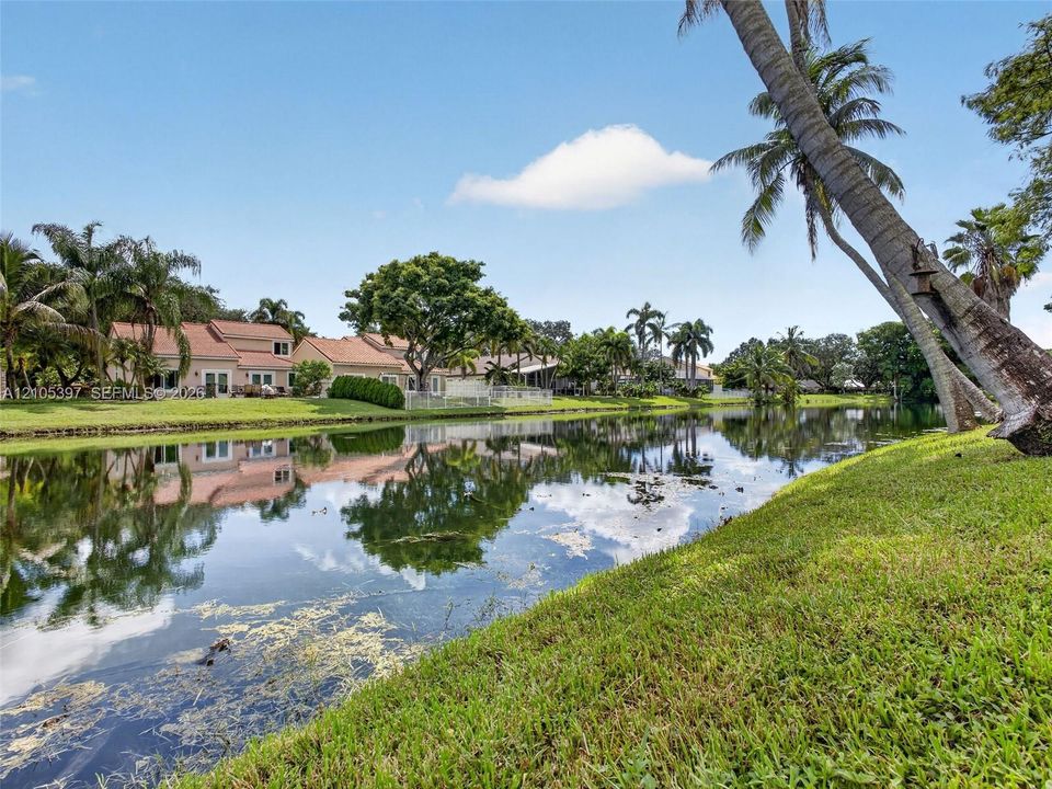 Waterfront property featuring a manicured lawn, mature palm trees, and expansive views.