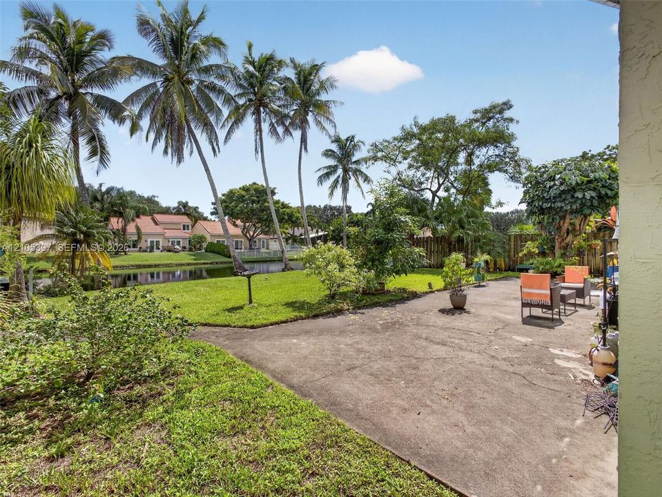 Backyard featuring a concrete patio, grassy lawn, established palm trees, and waterfront canal access