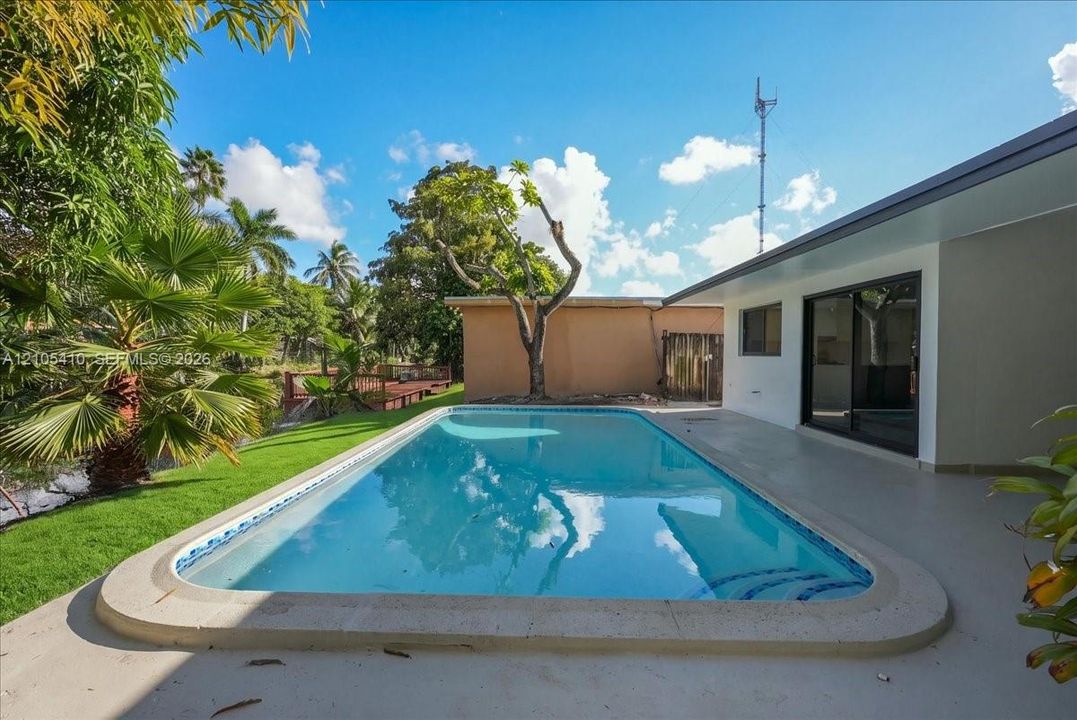 In-ground swimming pool with a concrete surround, covered patio, manicured lawn, and mature palm trees