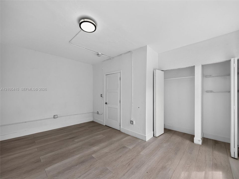 Wood-finish flooring, dual-closet storage with shelving, three-panel interior door, and surface-mounted industrial-style lighting