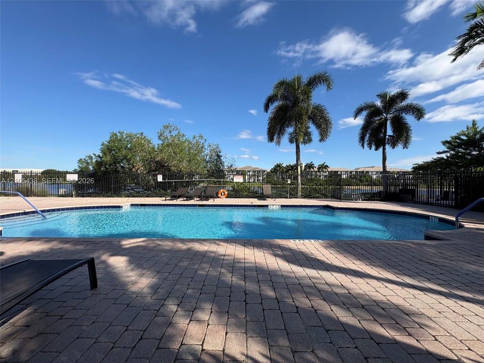 Swimming pool featuring a paver deck, metal perimeter fencing, and mature palm trees
