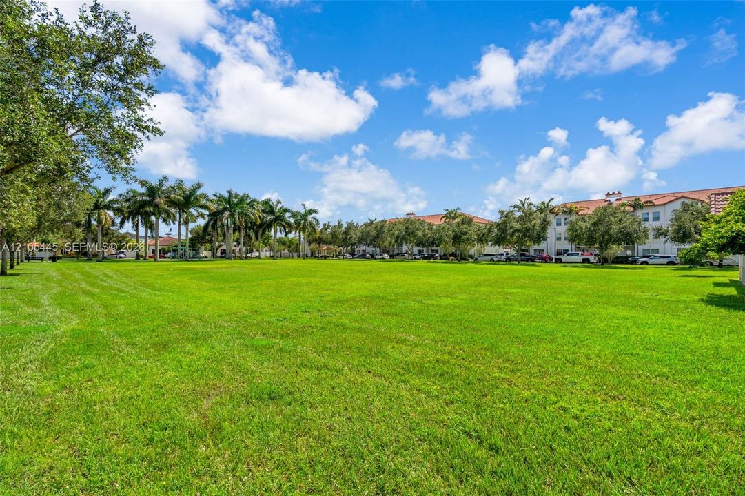 Expansive lawn area featuring mature palm trees and established perimeter landscaping