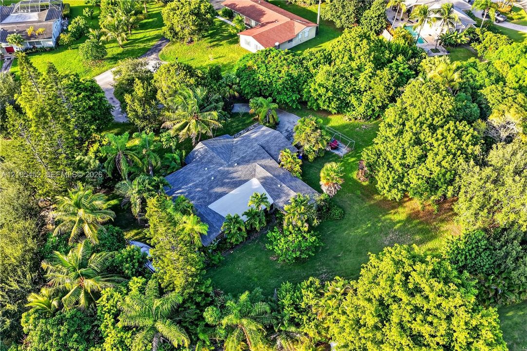 Aerial perspective of a multi-gabled roofline set amidst a landscaped lot with extensive mature tree canopy and sprawling green space