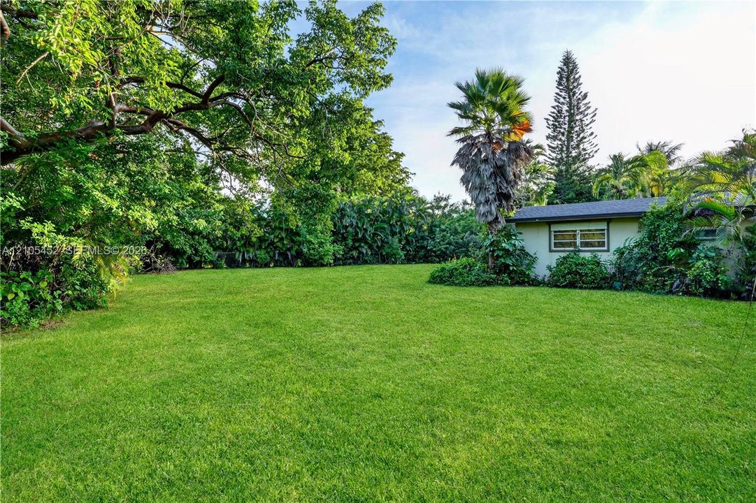 Expansive backyard featuring a manicured lawn, perimeter hedge, mature shade trees, and various palm species