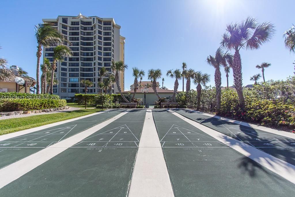 Outdoor shuffleboard courts featuring concrete surfaces, bordered by manicured landscaping and mature palm trees