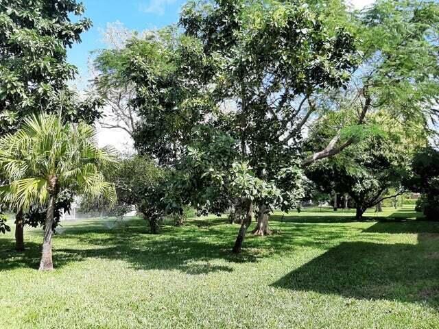 fruit trees