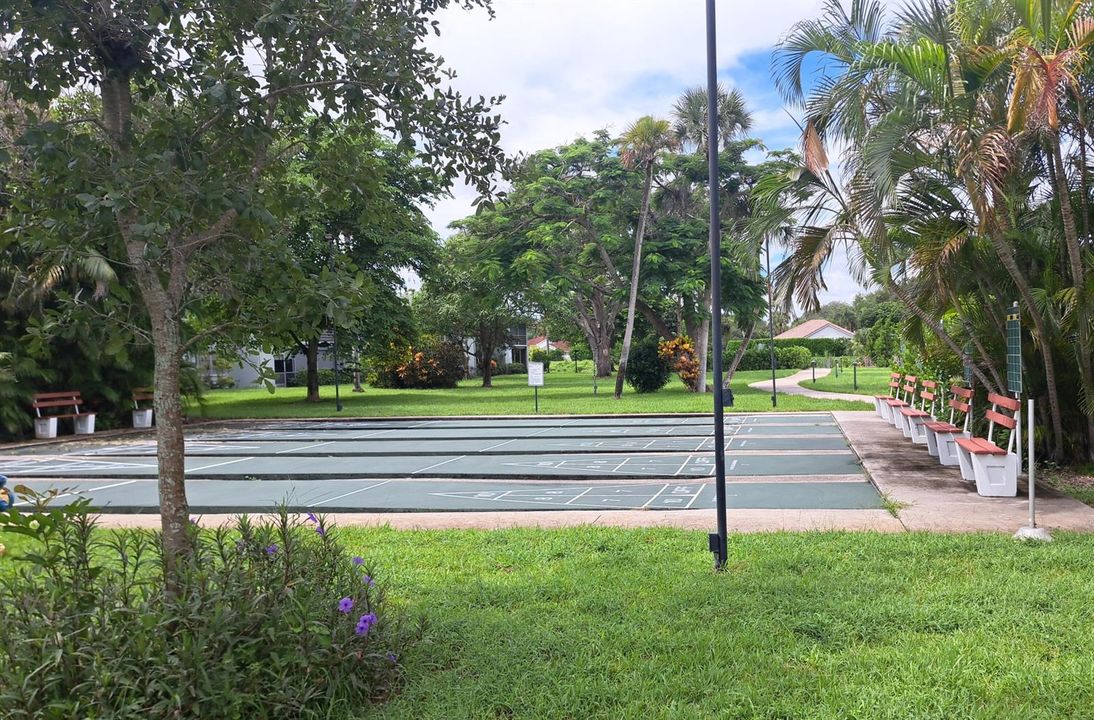 shuffleboard