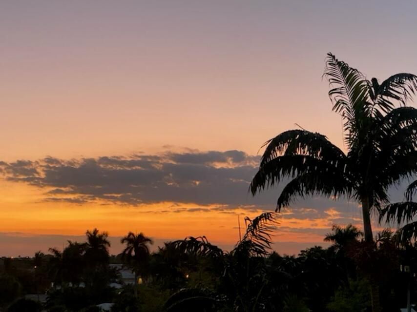 Sunset View