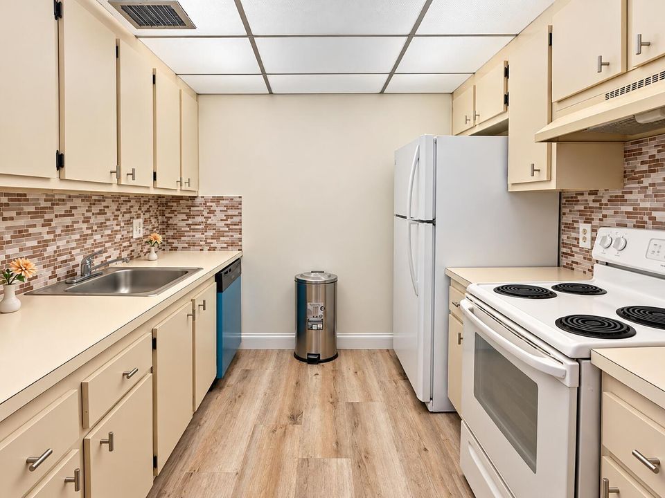 Bright Modern Galley Kitchen