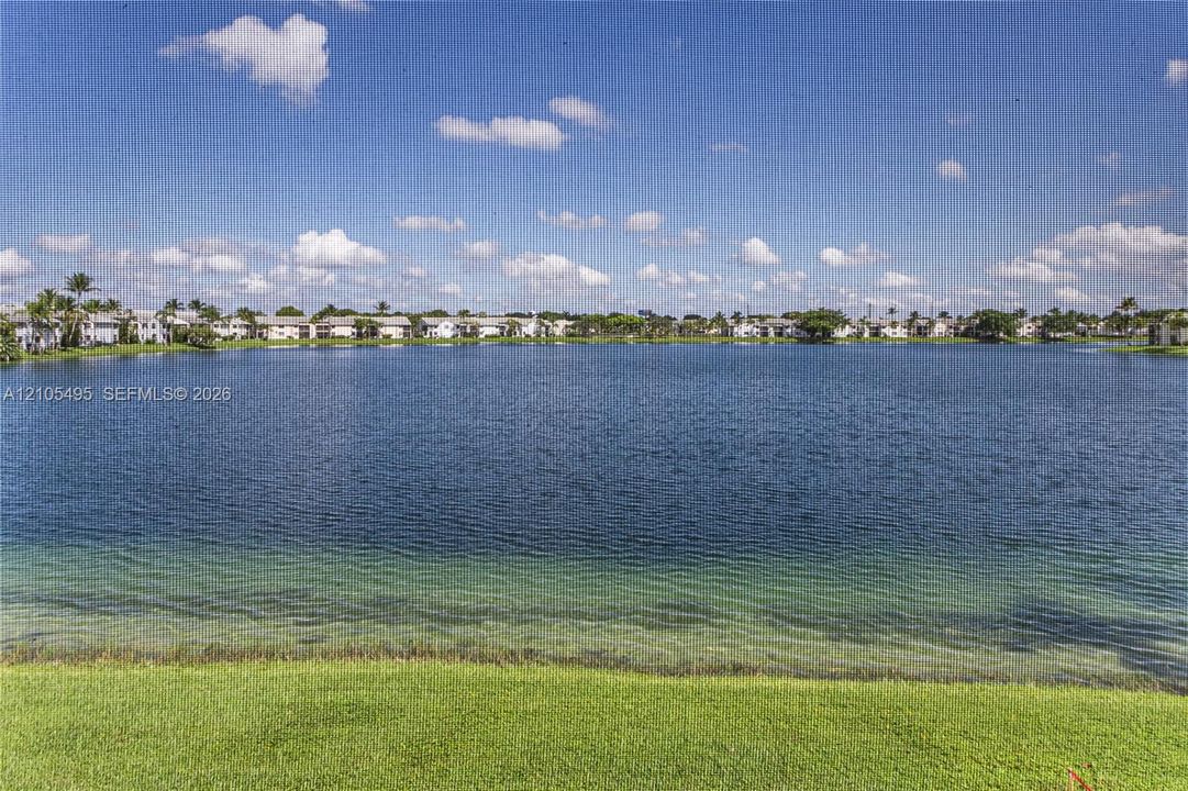 Expansive lakefront setting featuring a manicured lawn and mature palm trees