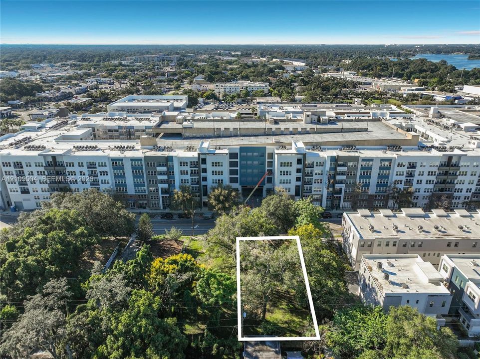 Vacant lot featuring established mature trees and level topography within an urban setting