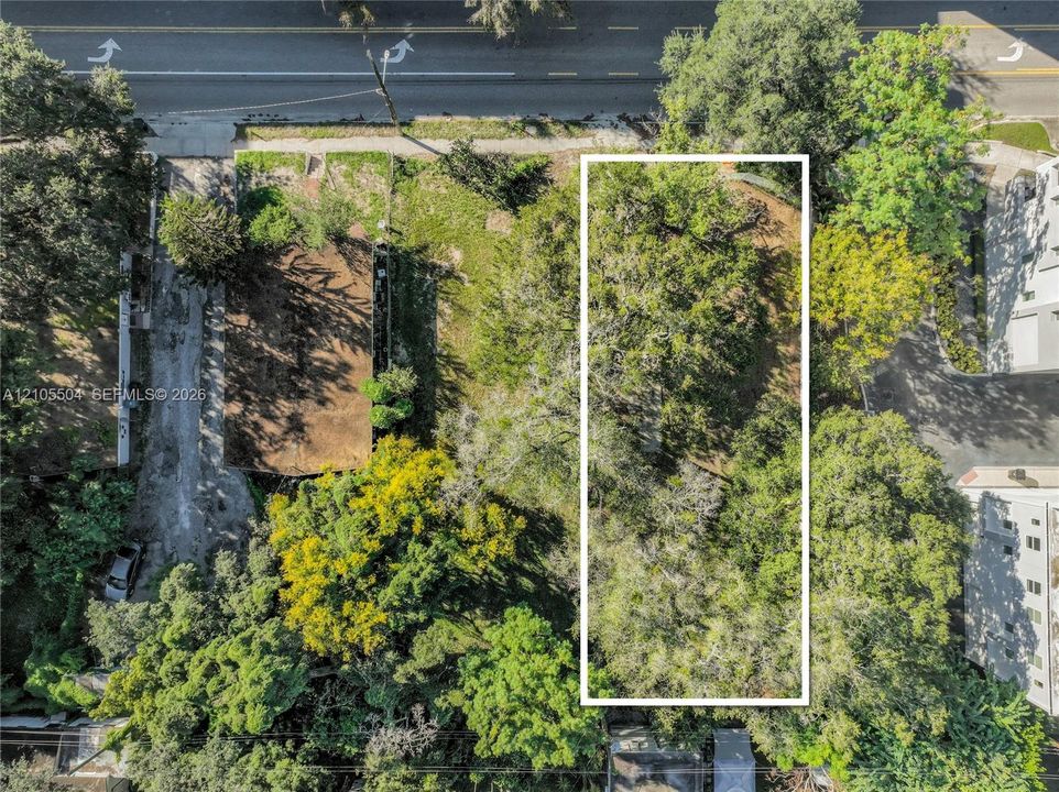Rectangular parcel of land featuring mature tree canopy and clear site lines