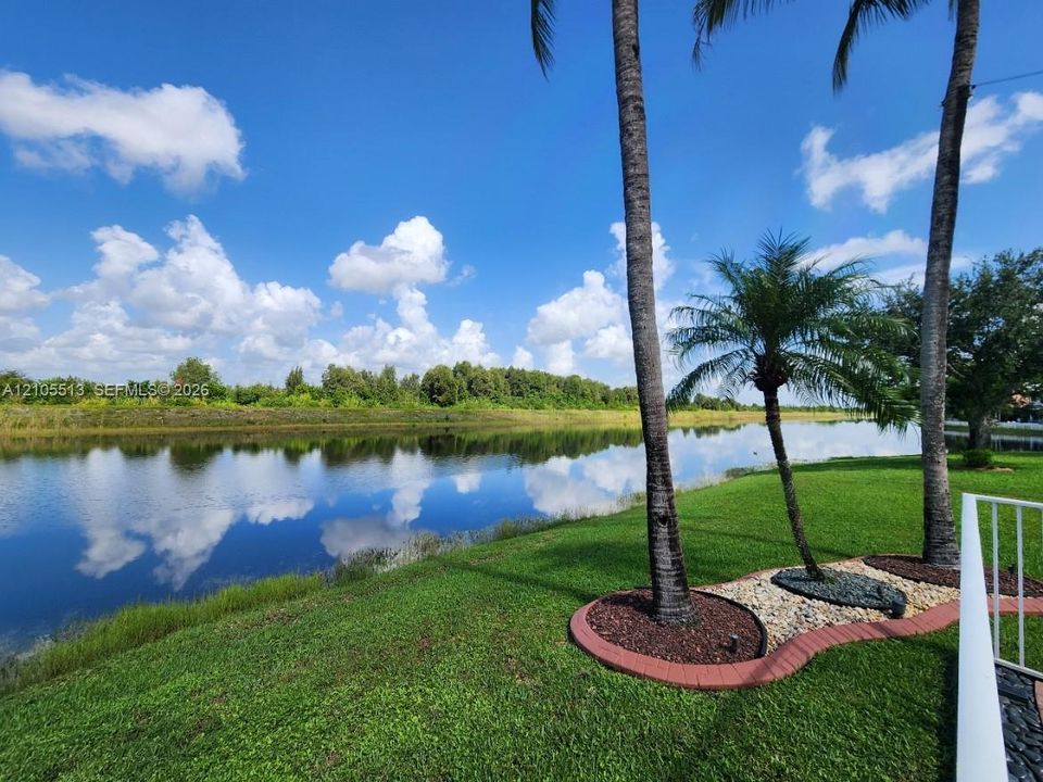 Lakeside property featuring a manicured lawn, established palm trees, and decorative rock landscaping