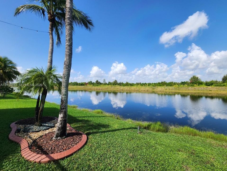Expansive waterfront with lush green landscaping, mature palm trees, decorative rock garden, and a defined border