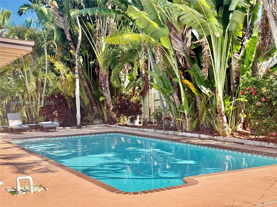 In-ground swimming pool featuring a tile perimeter, surrounding stone-textured decking, and lush mature tropical landscaping