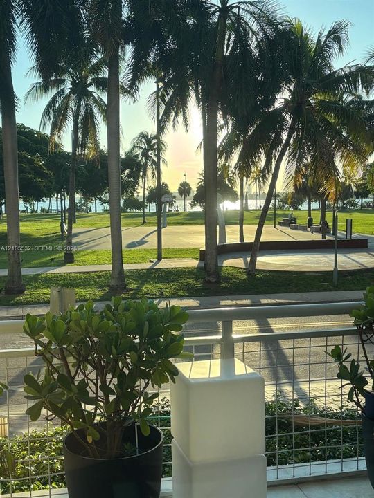 Balcony with a wire-mesh railing overlooking a public park featuring a paved sports court, paved pathways, and mature palm trees