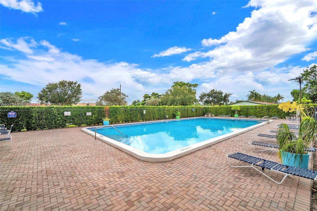 In-ground swimming pool featuring a stepped entry and concrete paver decking, surrounded by a privacy hedge