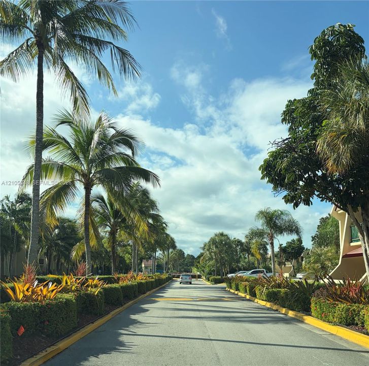 Paved roadway lined with mature palm trees, manicured hedges, and tropical landscaping