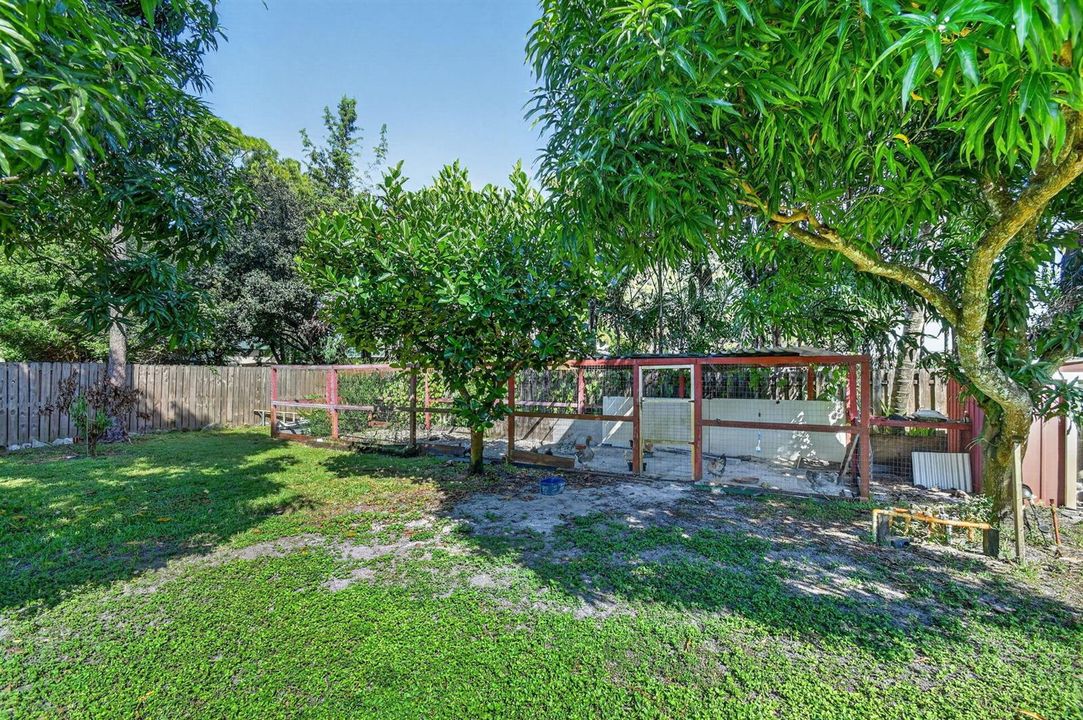 72-web-or-mls-DSC_4562