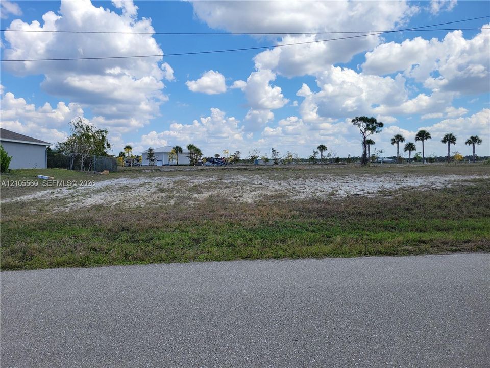 Cleared, level lot featuring sandy soil, native grasses, and mature palm trees