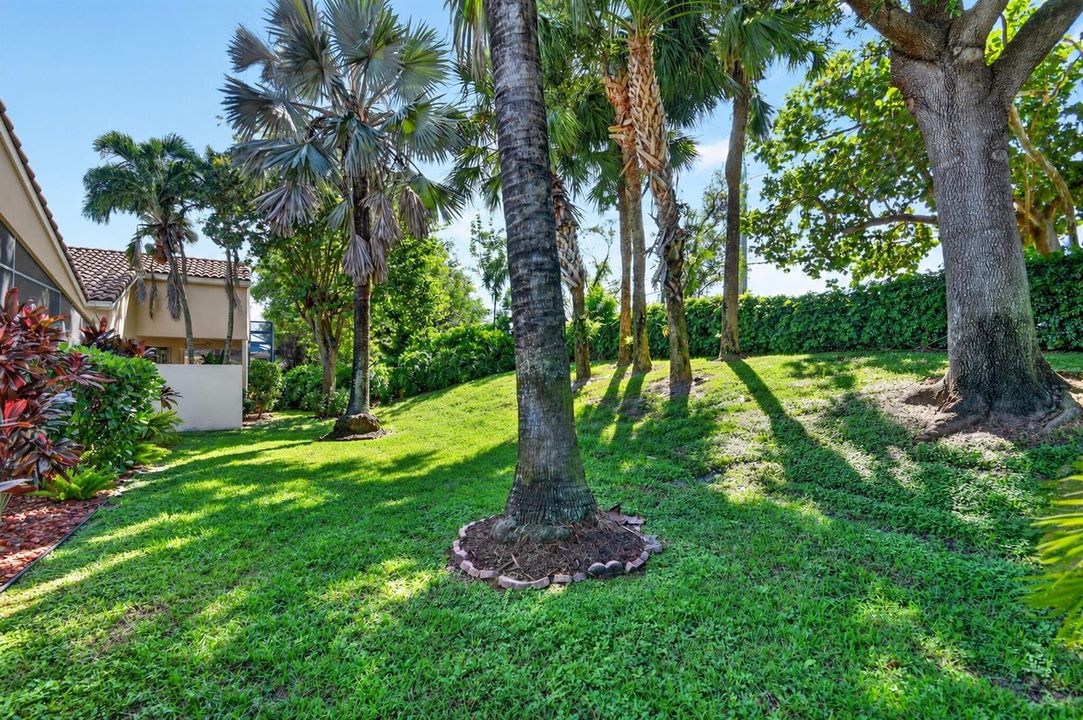 BACKYARD VIEW