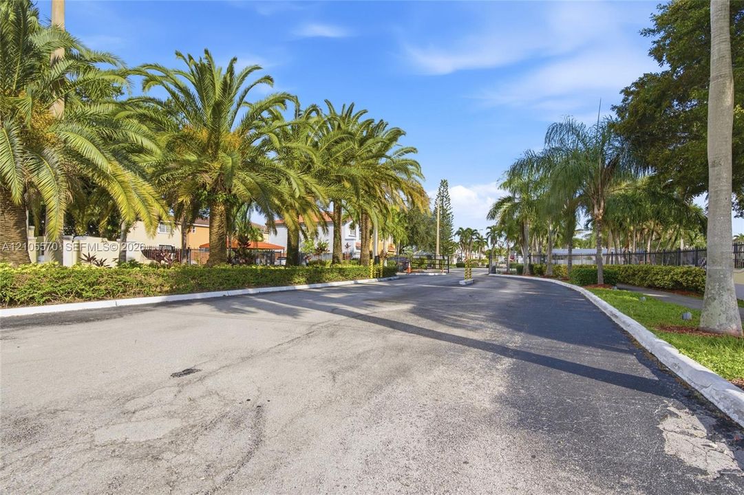 Paved drive with a landscaped median, mature palm trees, and green foliage