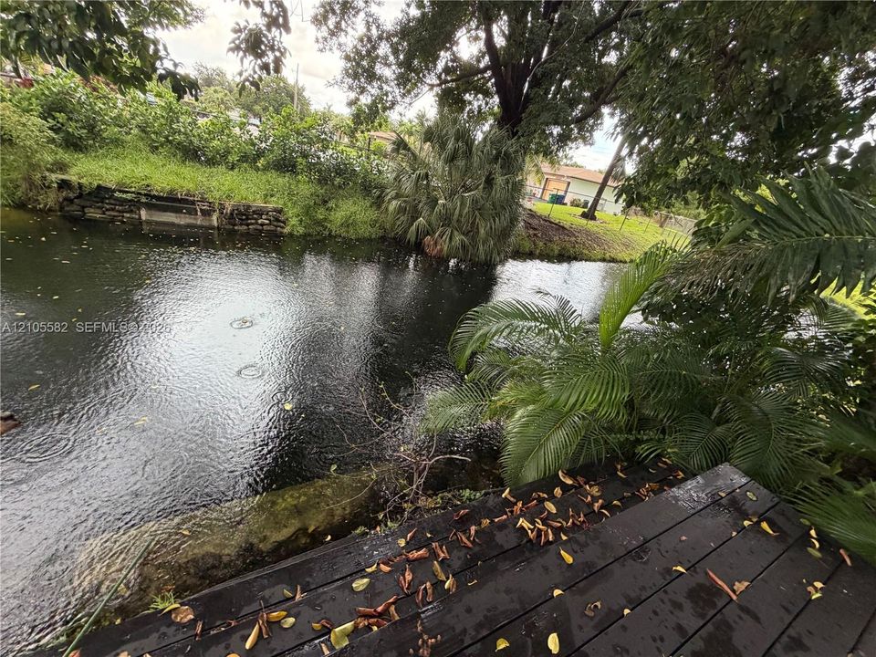 Waterfront property featuring a wood-finish dock and lush tropical landscaping