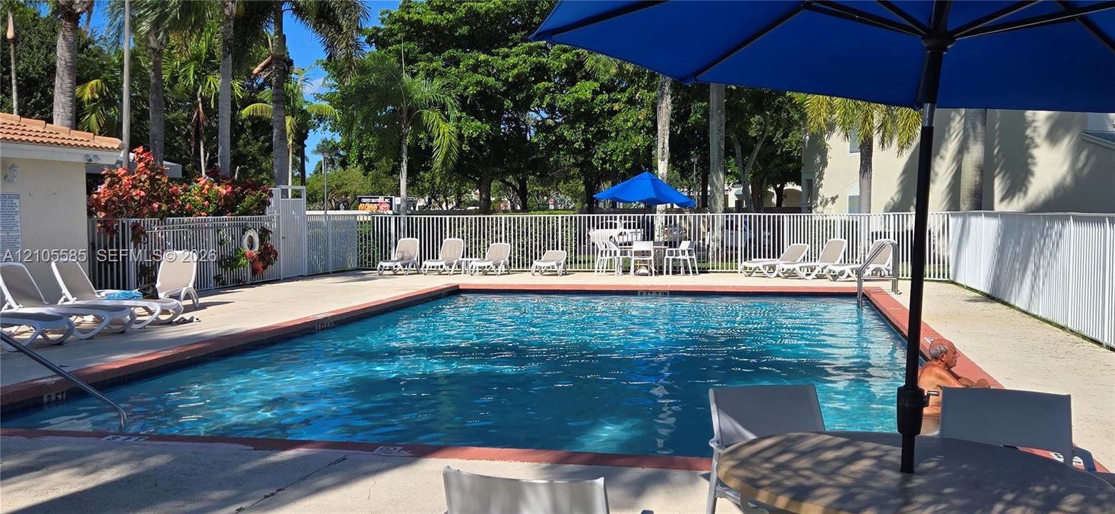 Swimming pool with a concrete pool deck, enclosed by white metal fencing, surrounded by mature palm trees