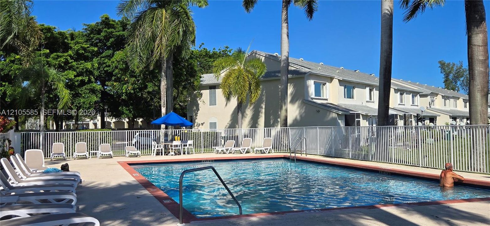 Swimming pool with concrete decking, perimeter metal fencing, and mature palm trees