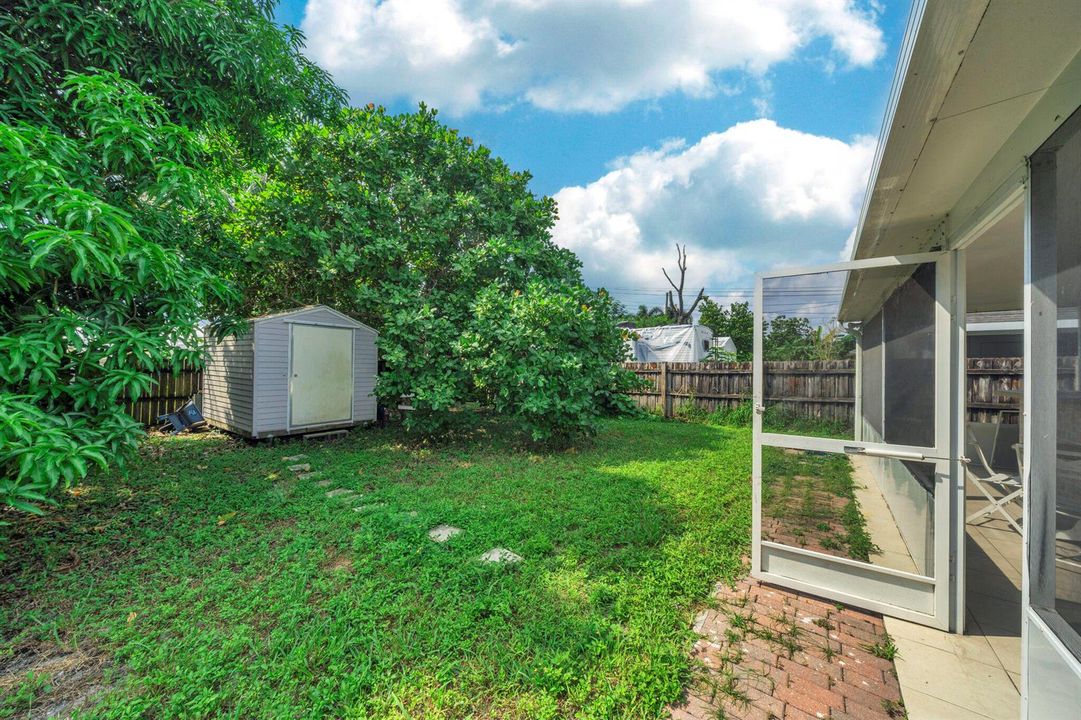 14 backyard (3)