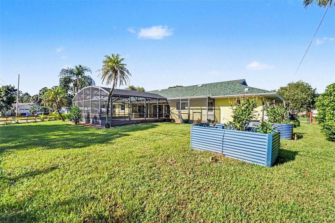 Backyard featuring a screened-in lanai, corrugated metal raised garden beds, expansive grass lawn, and mature palm trees
