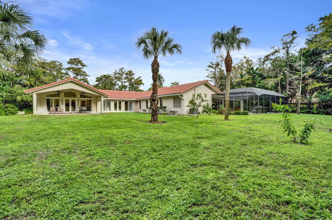 139-web-or-mls-DSC09703
