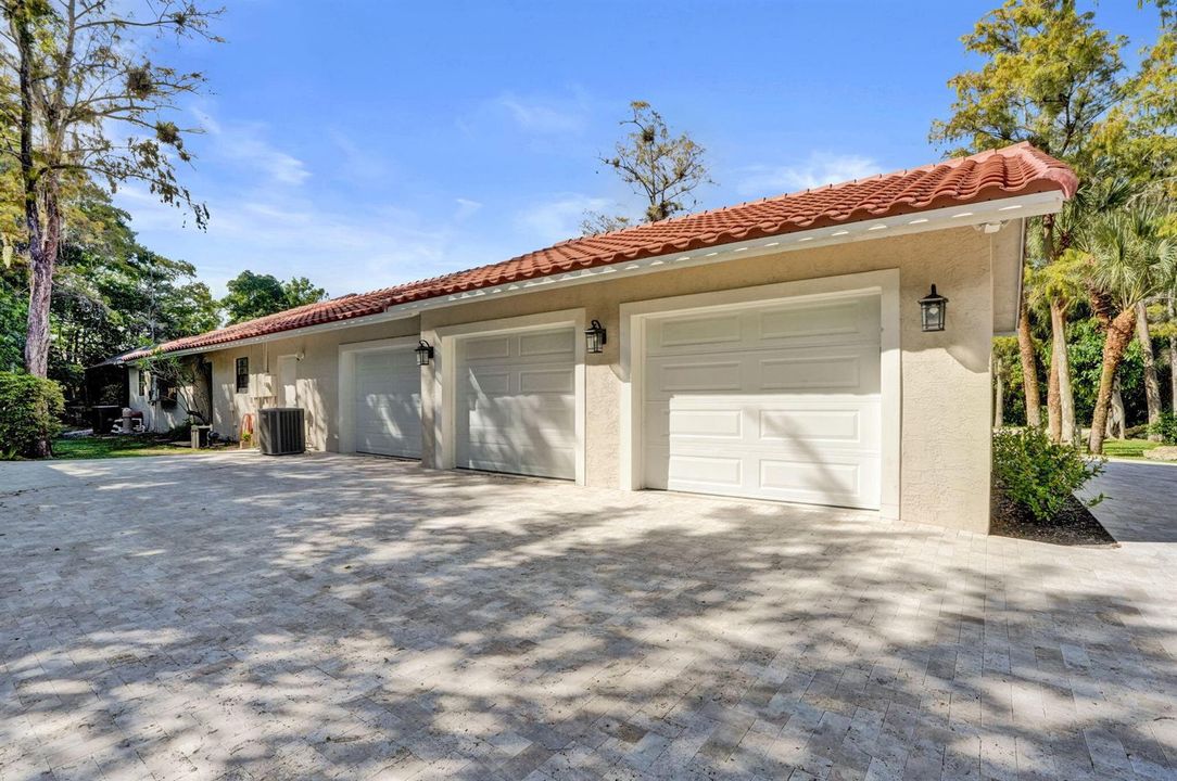 29-web-or-mls-DSC09337
