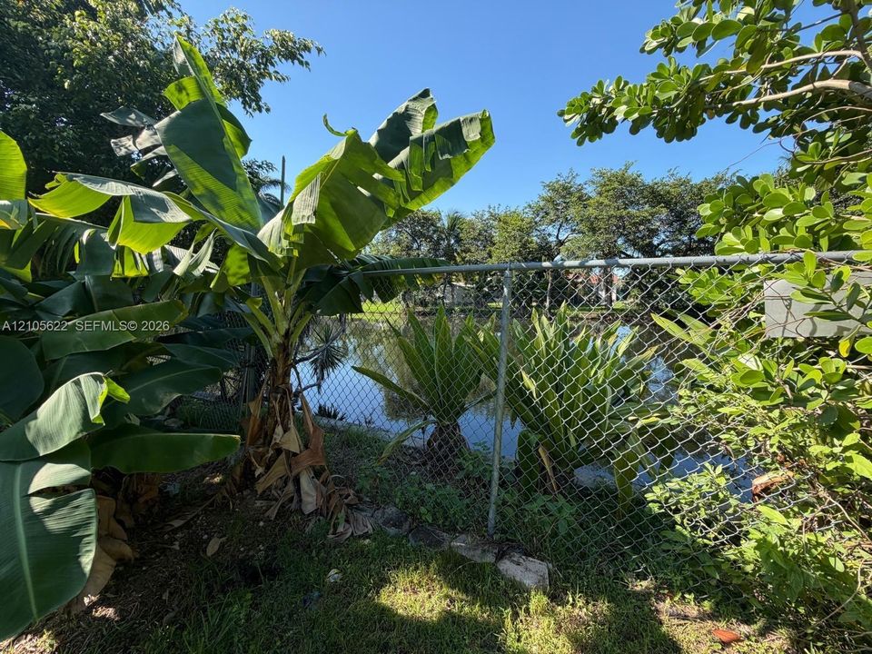 Waterfront lot featuring mature tropical landscaping and chain-link fencing