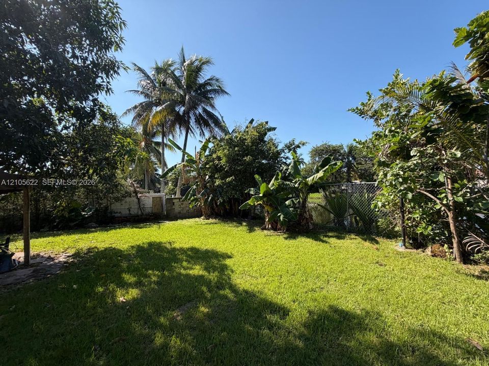Backyard featuring a manicured lawn, established perimeter vegetation, palm trees, and perimeter fencing