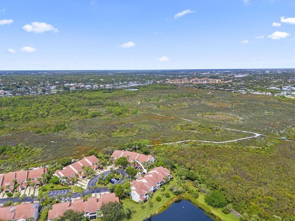 403 Sea Oats Drive - 56.jpg-SMALL