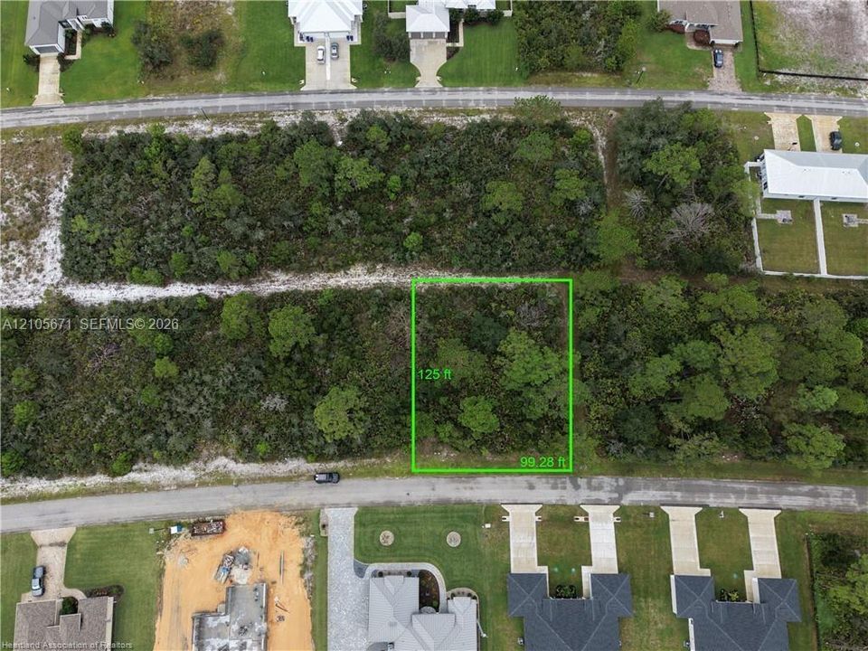 Rectangular parcel of land featuring native vegetation and mature trees, measuring 125 feet by 99.28 feet