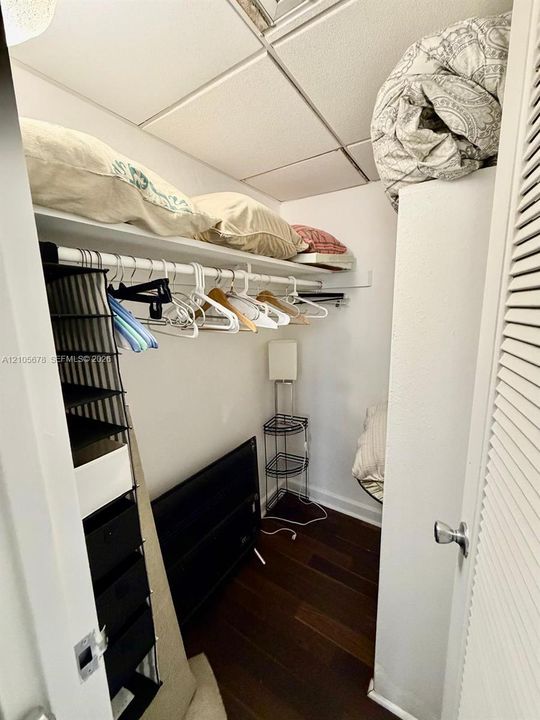 Storage closet featuring wood-finish flooring, a full-length overhead shelf, and a mounted metal garment rod
