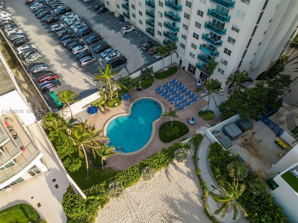 Ground-level pool with paver decking, lush tropical landscaping, and direct access to sandy beach areas