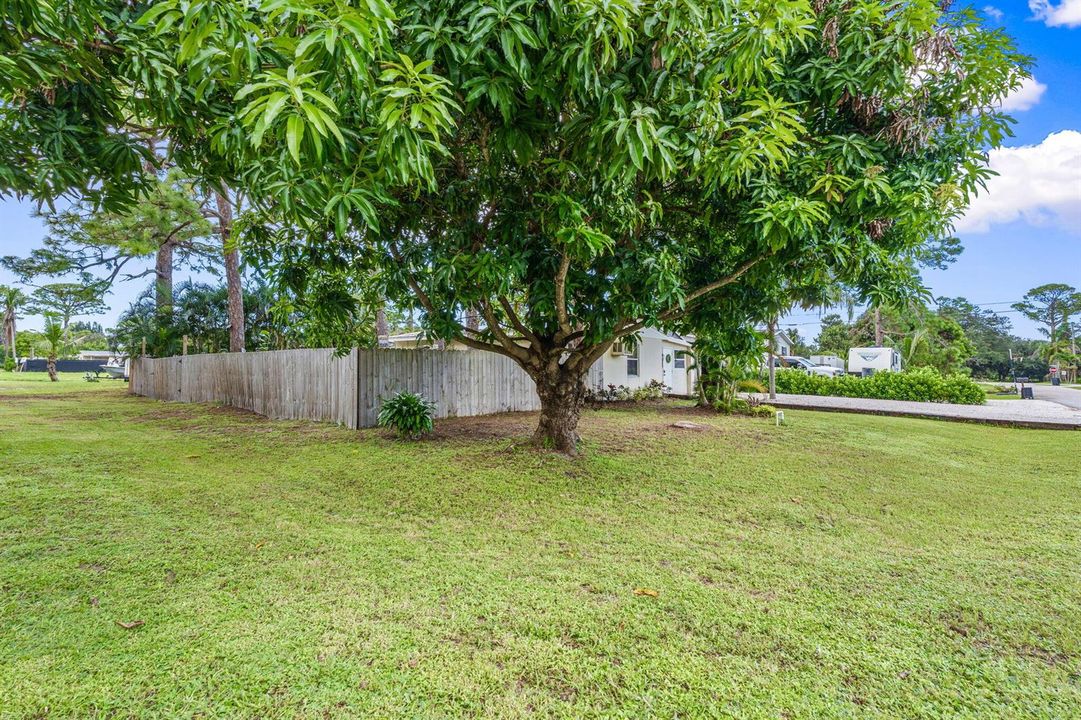 3-web-or-mls-DSC05110 (2)