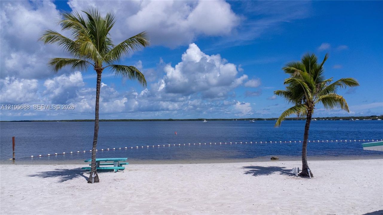 Community Beach Sandy shoreline featuring mature palm trees and direct waterfront access