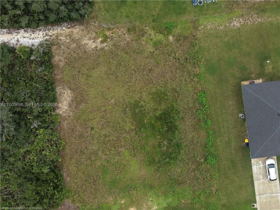Expansive residential parcel featuring cleared land, perimeter vegetation, and mature tree lines