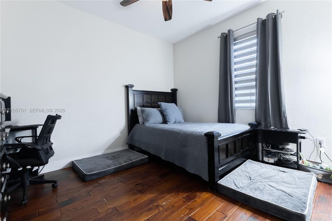 Room featuring wood-finish flooring, a ceiling fan, and a window equipped with a dual-layer roller shade
