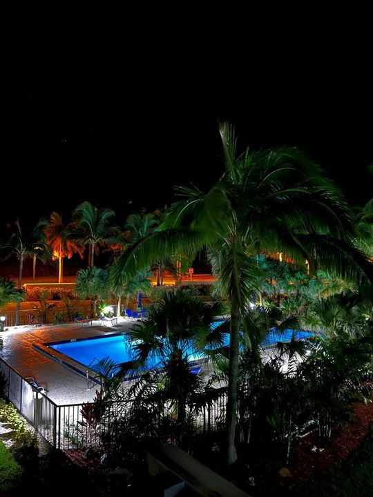 Pool Night
