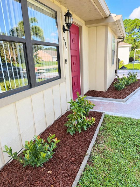 Front Picture
