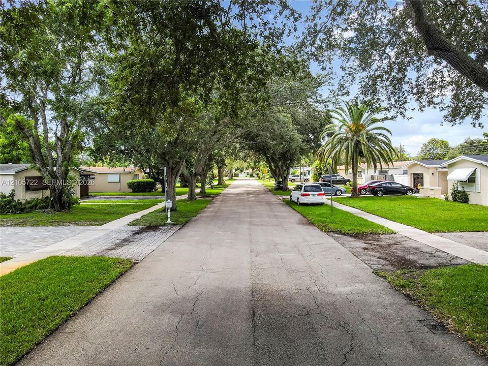 Paved street lined with mature shade trees and manicured lawns