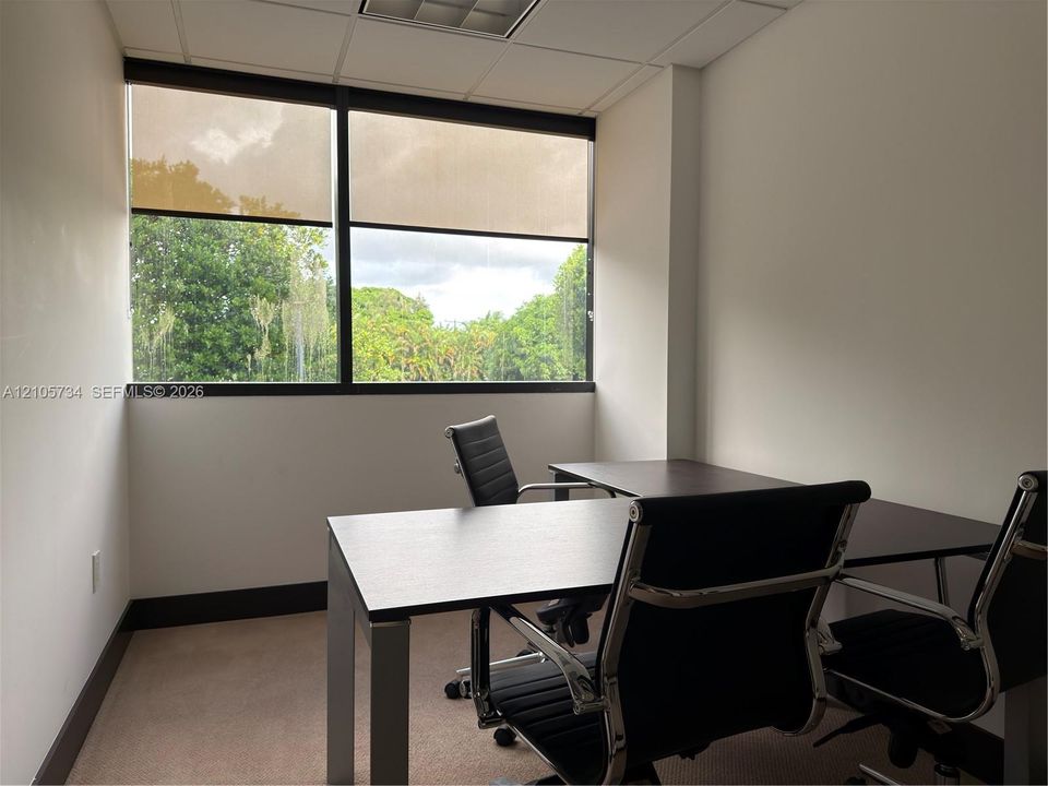 Interior office featuring neutral-toned carpeting, large picture windows with dark-finished framing, and a drop-ceiling grid