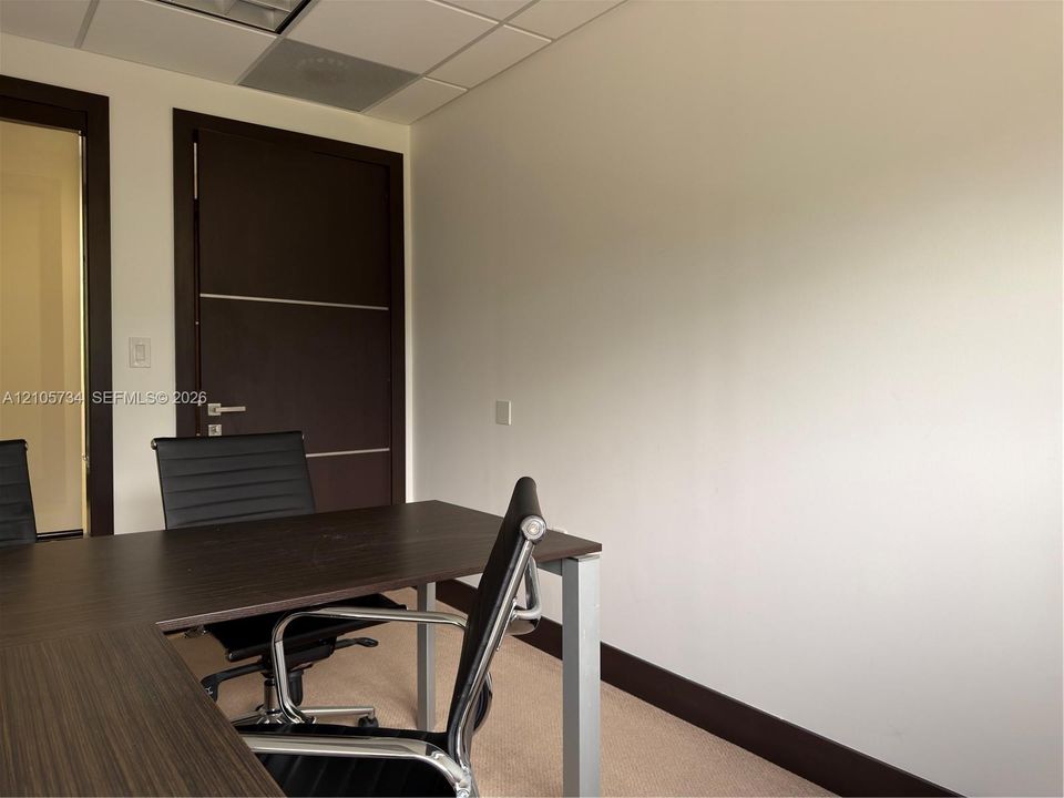 Solid-core interior door with horizontal metal inlay, drop ceiling tiles, and neutral carpeting