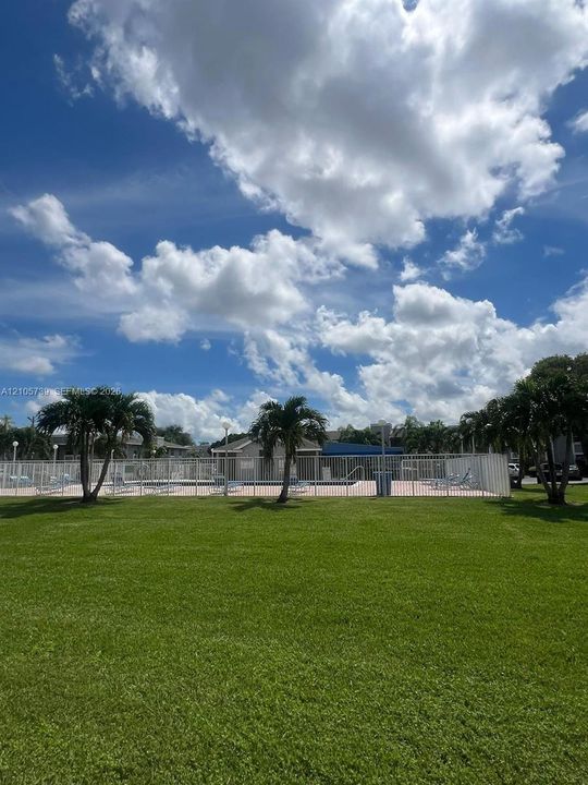 Outdoor swimming pool enclosed by white fencing, complemented by expansive lawn space and mature palm trees